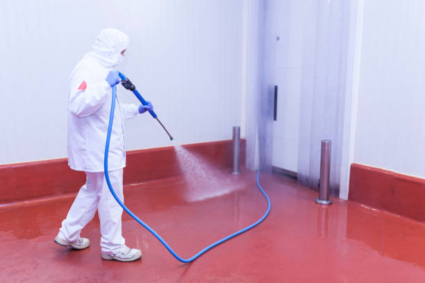 Best Rust Removal  in Anahuac, TX